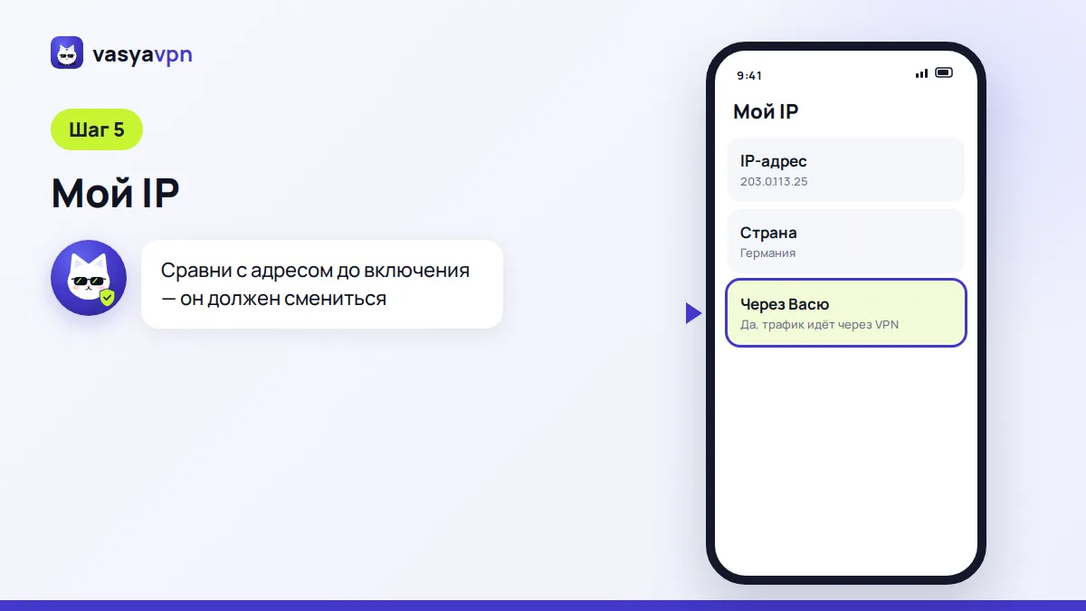 Страница «Мой IP» на телефоне после включения VPN: новый адрес, страна Германия и трафик через Васю